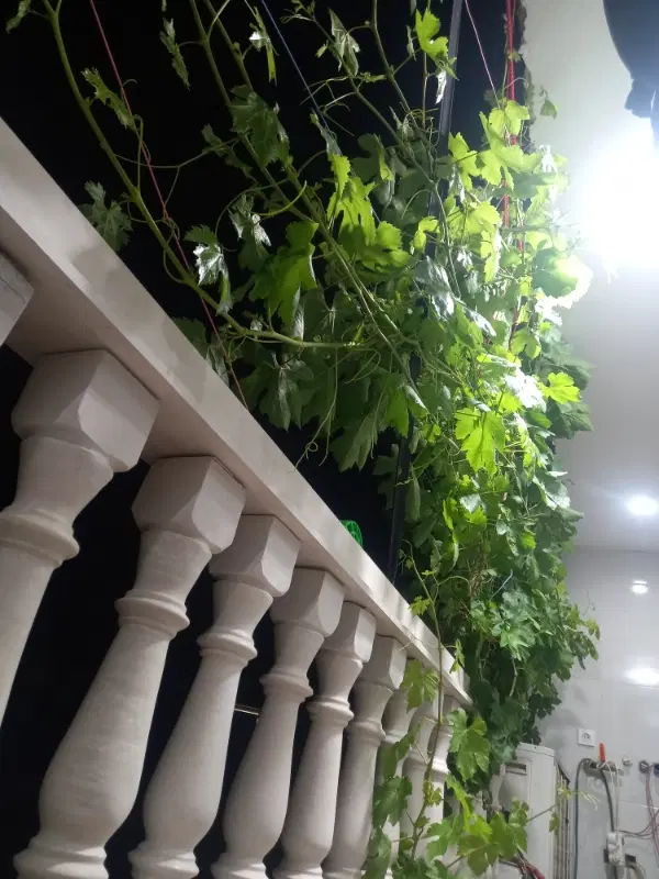 خانه ویلایی دوطبقه