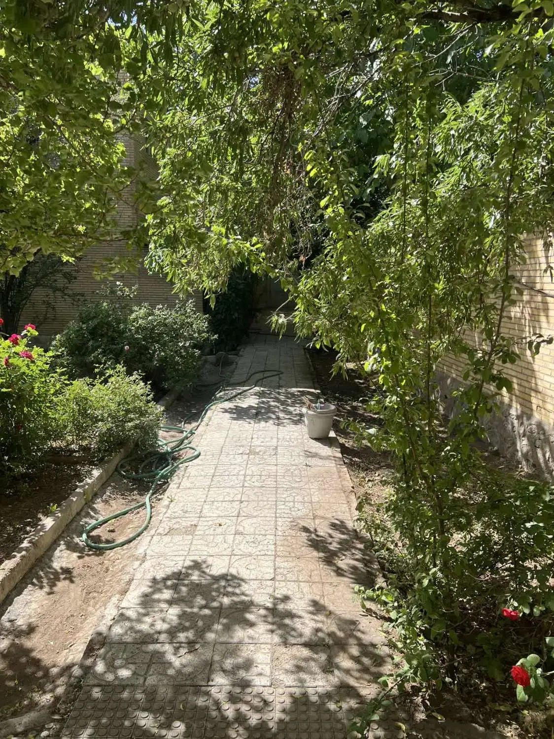 خانه باغ ده بالا یزد