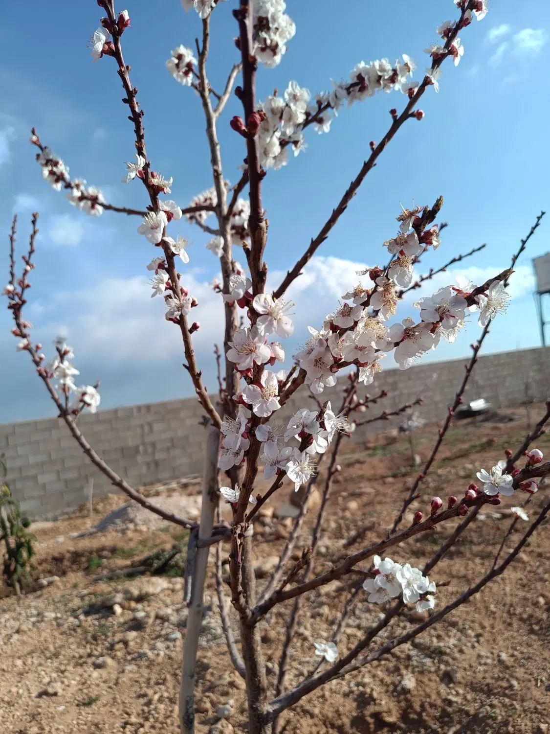 زمین آب پرده