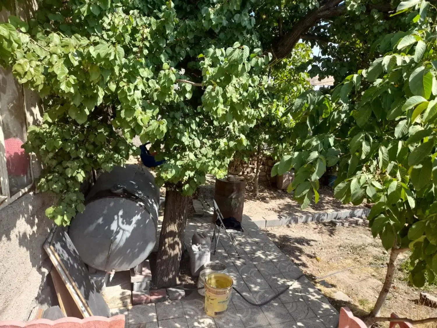 خانه ویلایی در روستا دارای سند 6