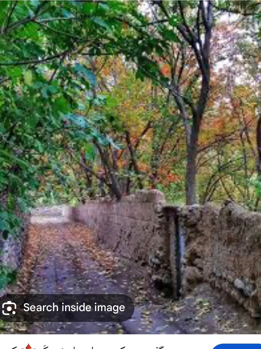 باغ ۳۴۴ متری