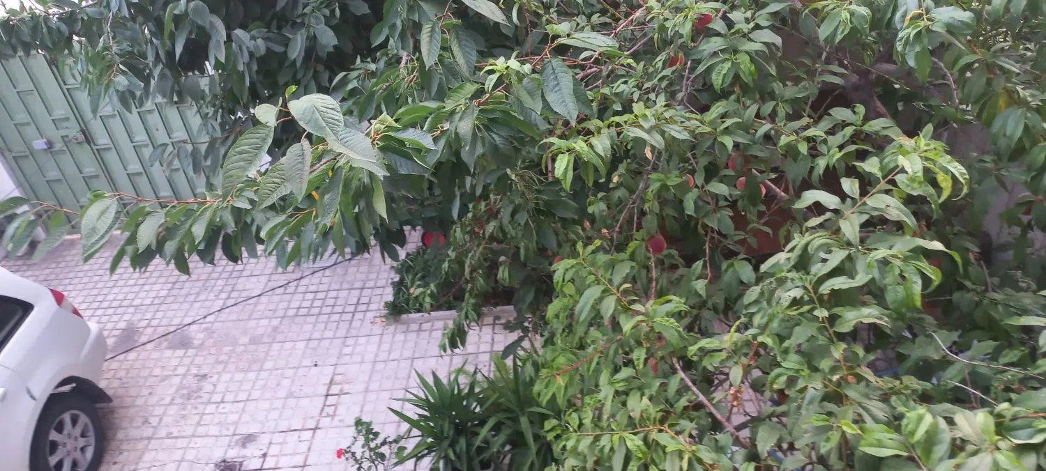 فروش خونه ویلایی