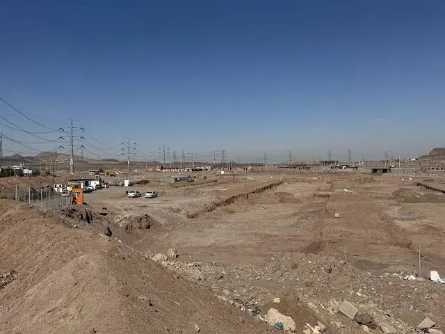 امتیاز فاز صفر پرند