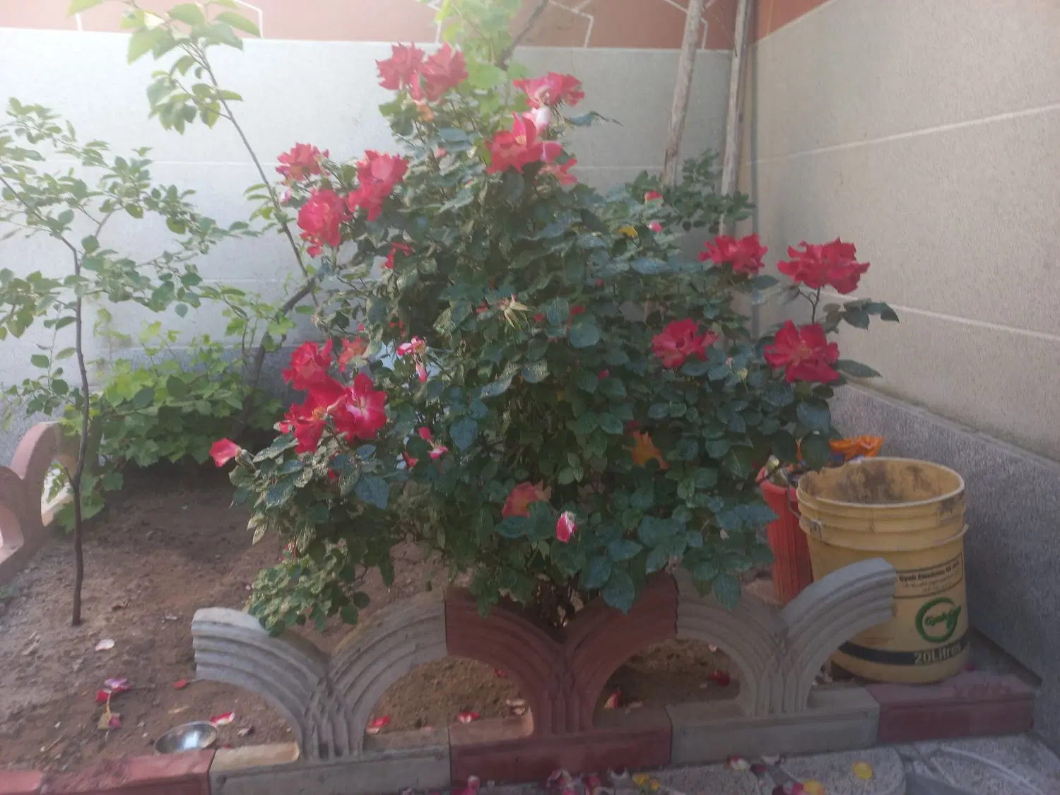 اجاره مغازه