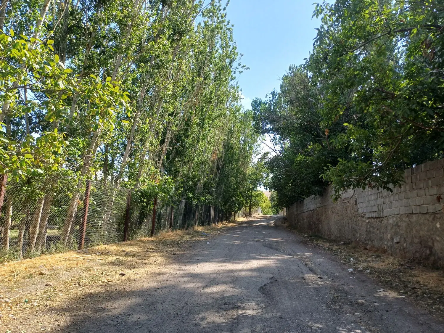 فروش باغ خاص و ارزشمند ۳۵۰۰ متری در اسکو