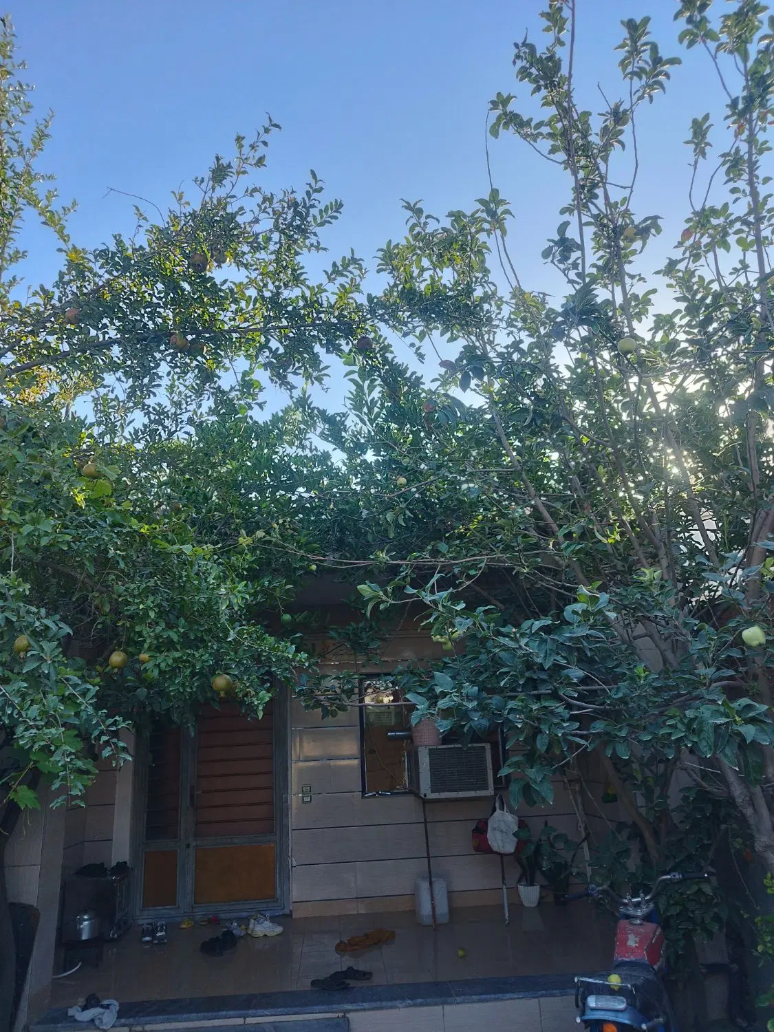 خانه ویلایی کوسه