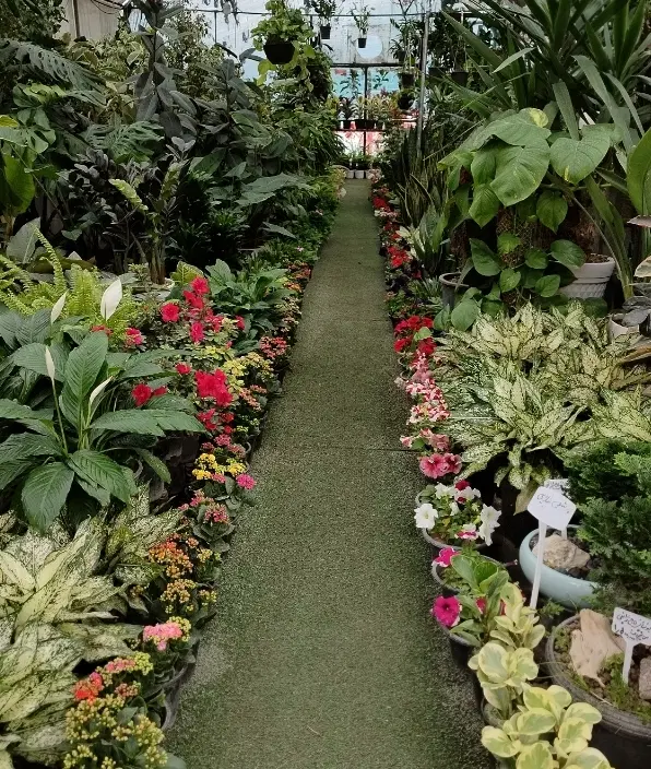 واگذاری واحد گلخانه زینتی