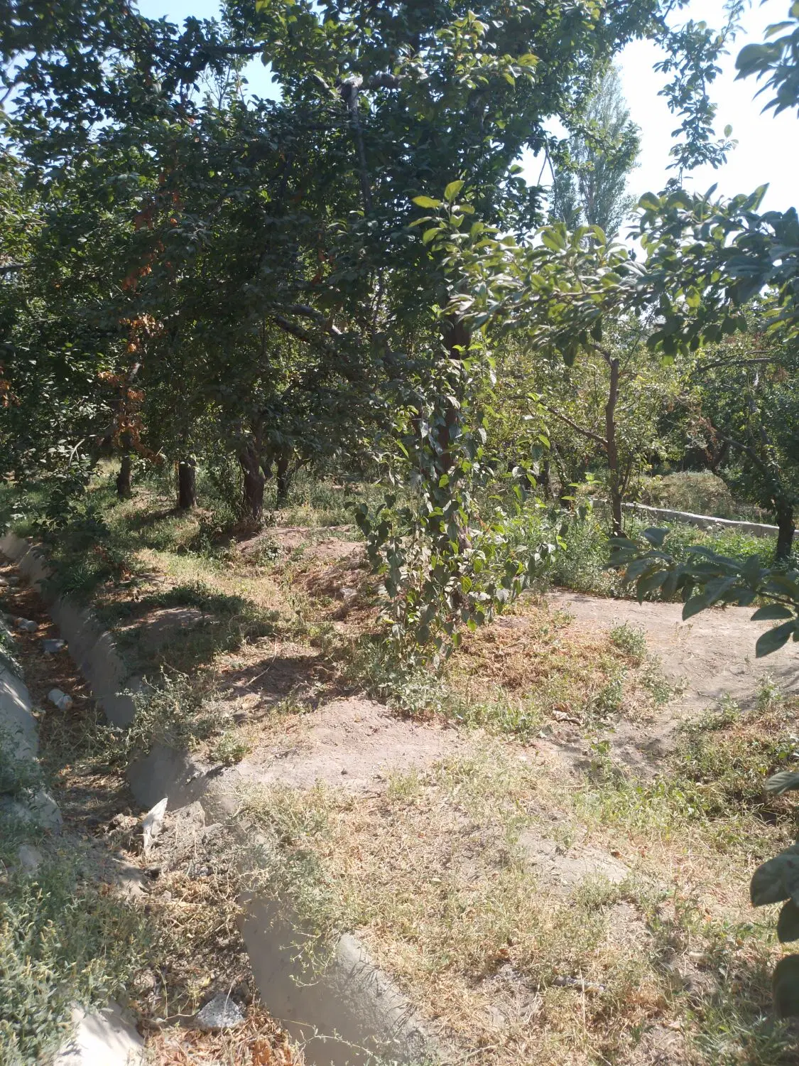 باغ شهریار ۲۳۰ متر چهاردیوار
