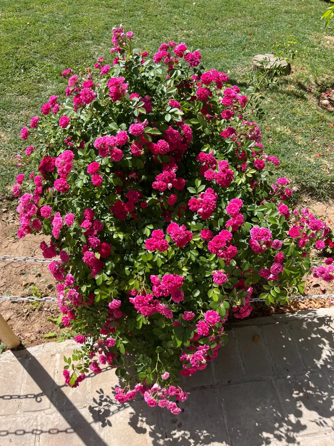 ویلایی