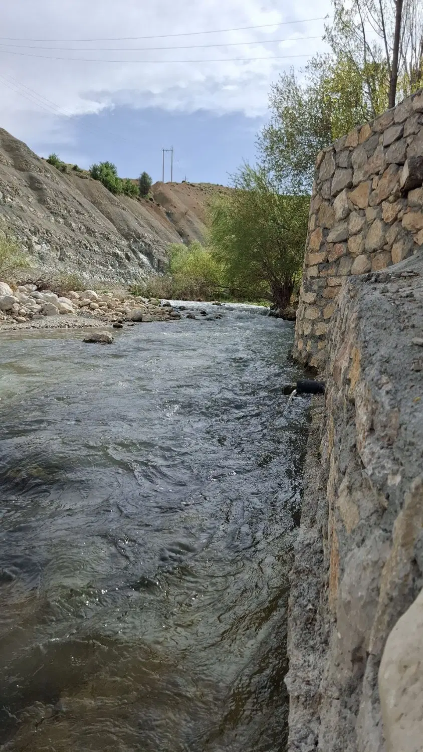 باغ شهری