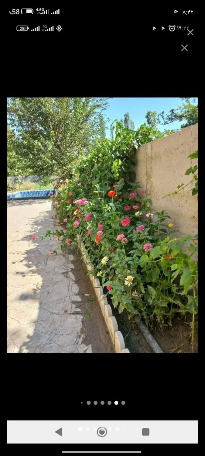 منزل قاسمیه