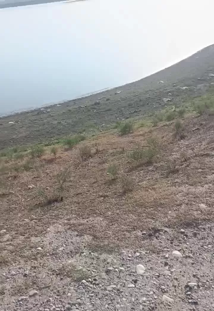 زمین باغچه شمال کشور خان ببین ایران