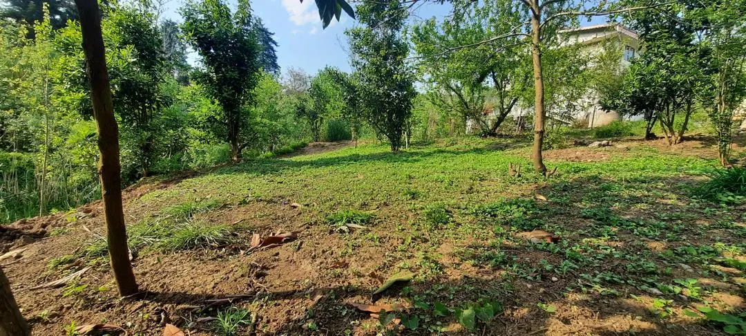 زمین باغی