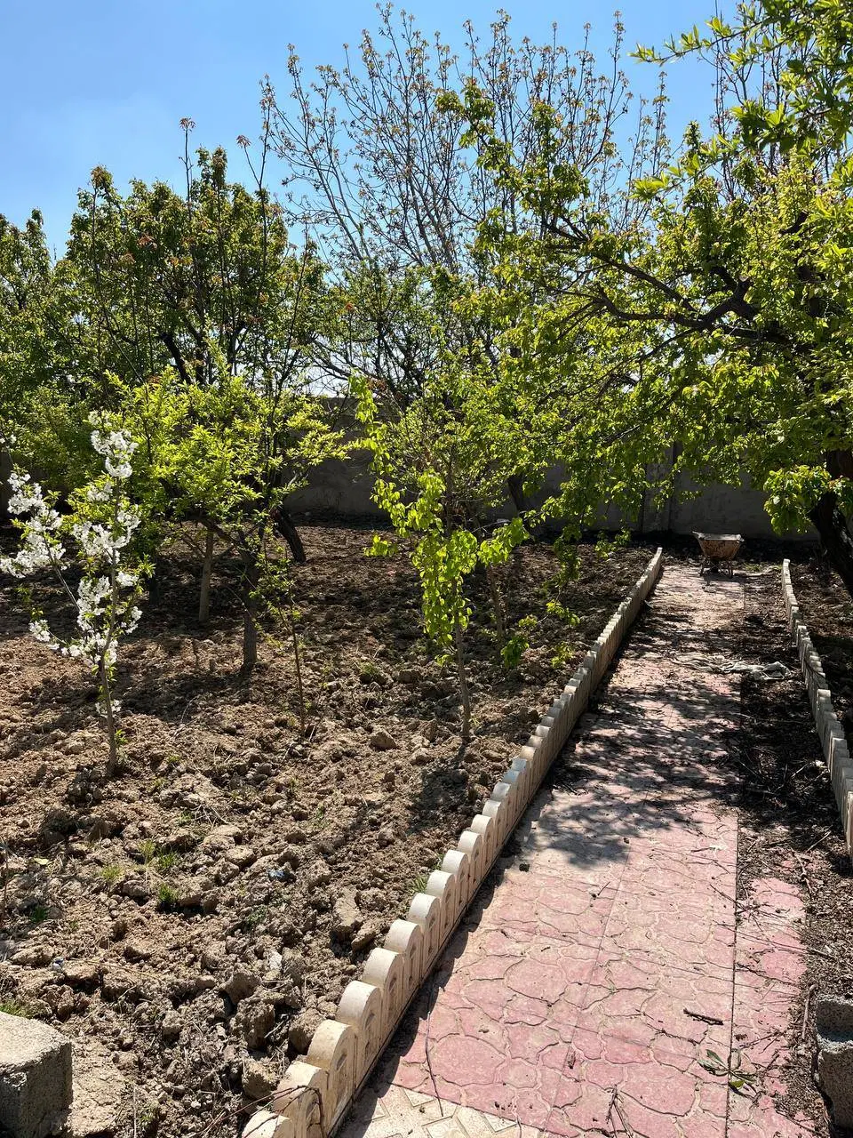 باع ویلا در دهشاد پایین