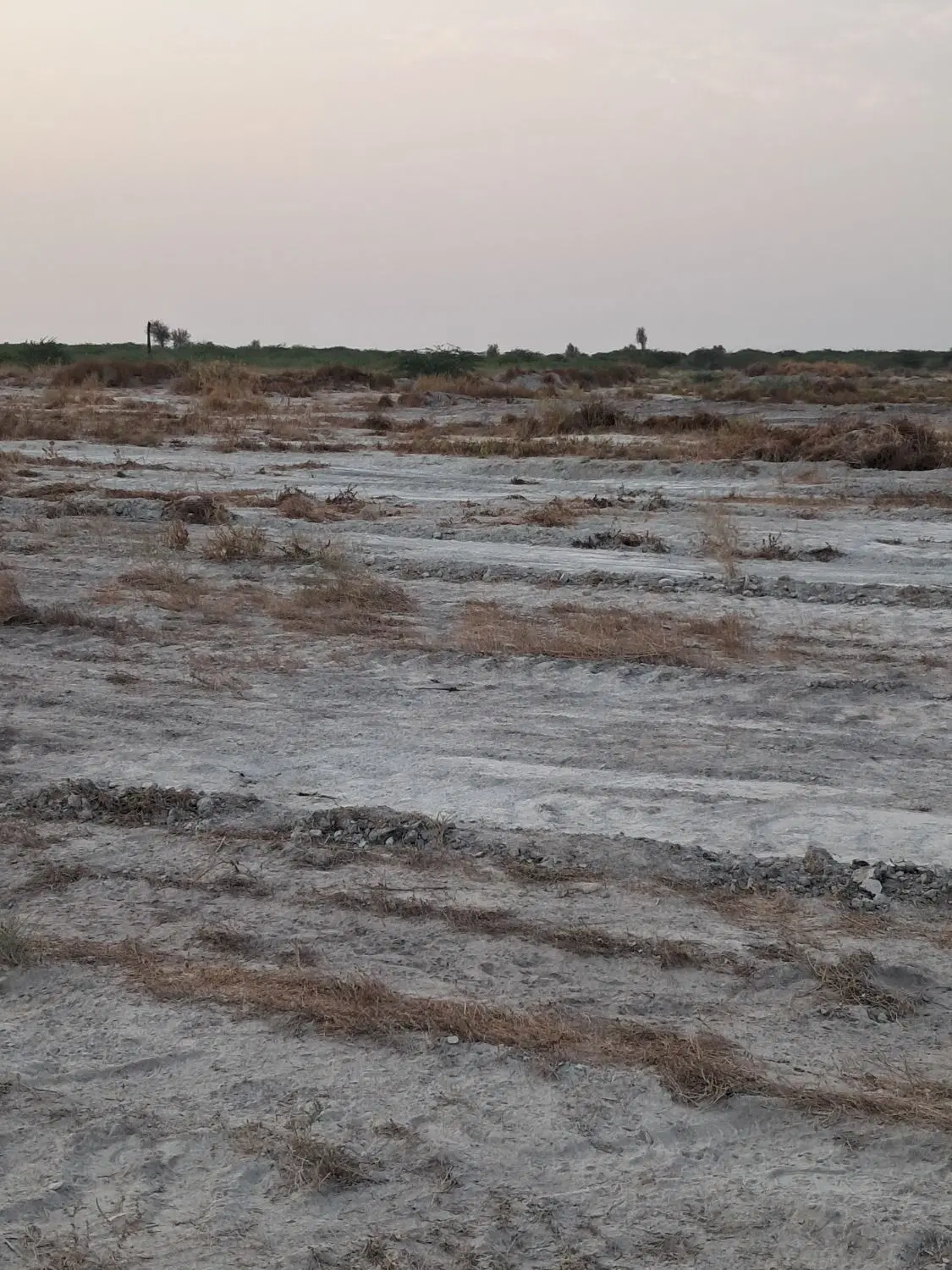 چند قطعه زمین سرکم بهمنی وسرکنتان