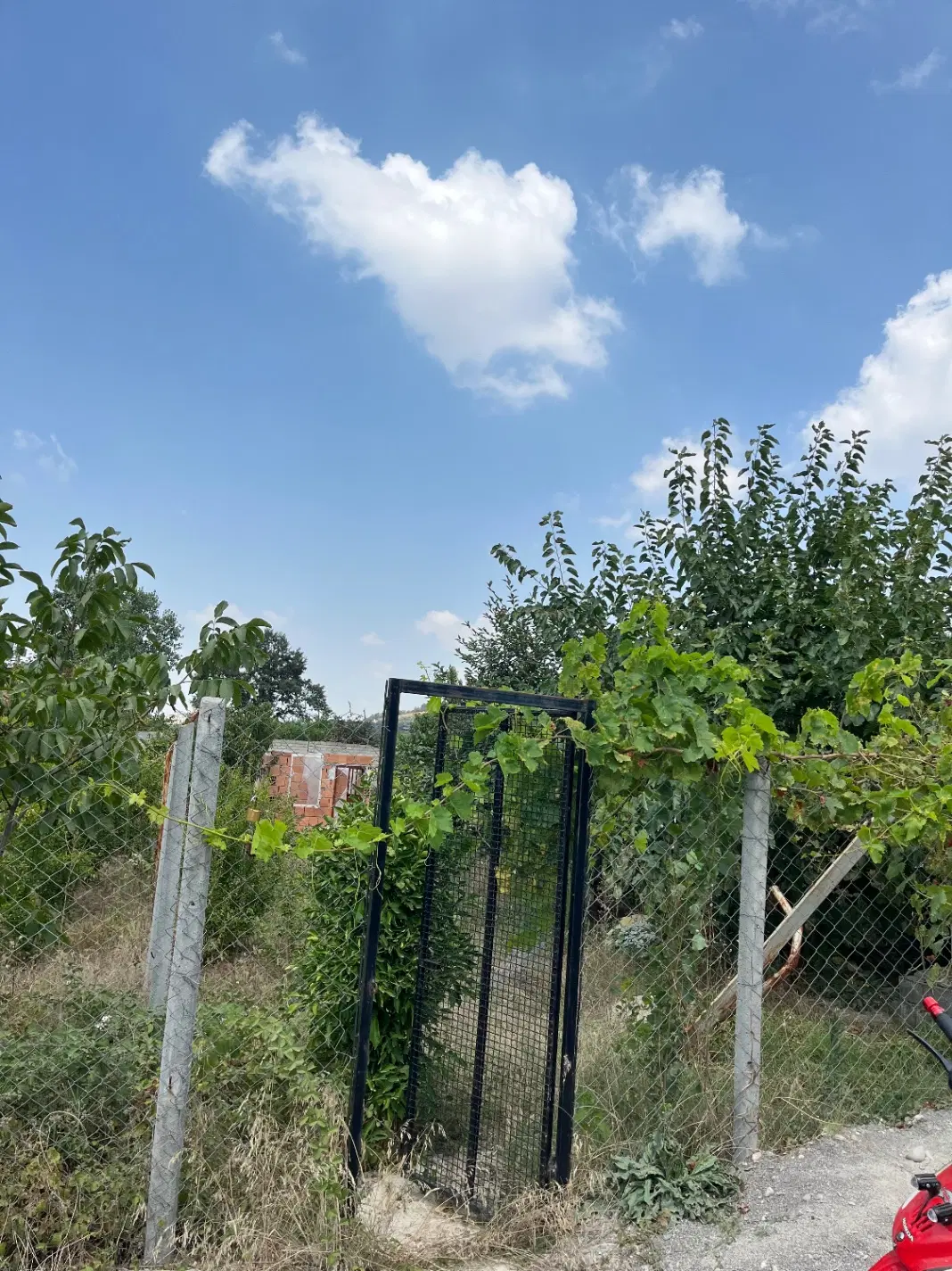زمین باغی در توشن