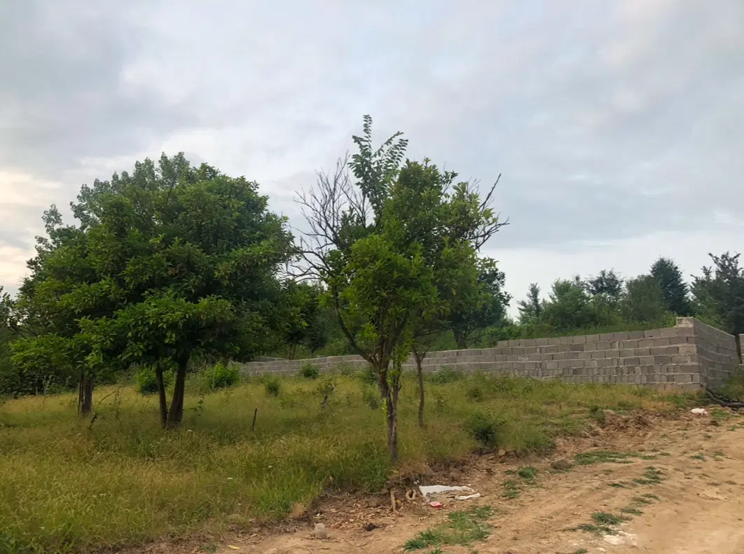 زمین مسکونی ۲۰۰ متری