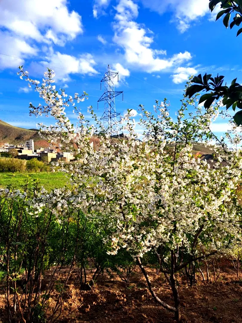 زمین ۷۰۰ متری روستای گرمیدر