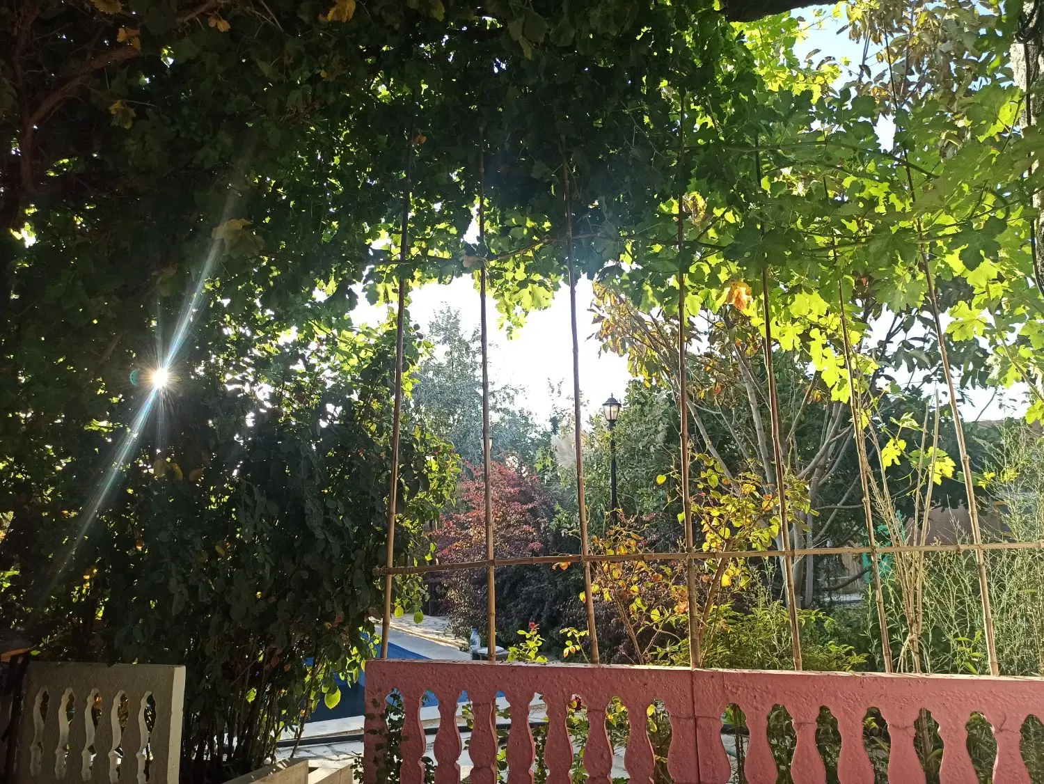 باغ شهری