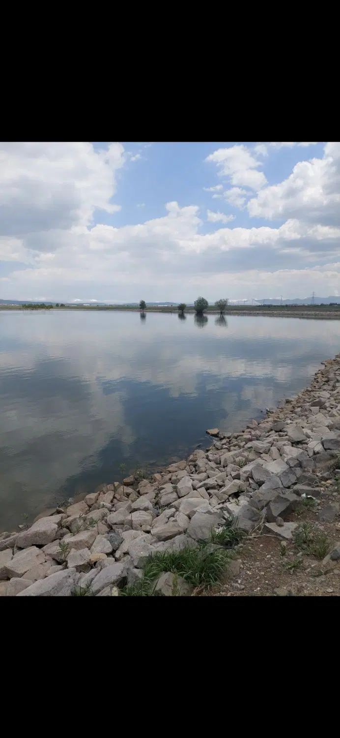 زمین روستایی علی بولاغی ویلایی داخل محدوده