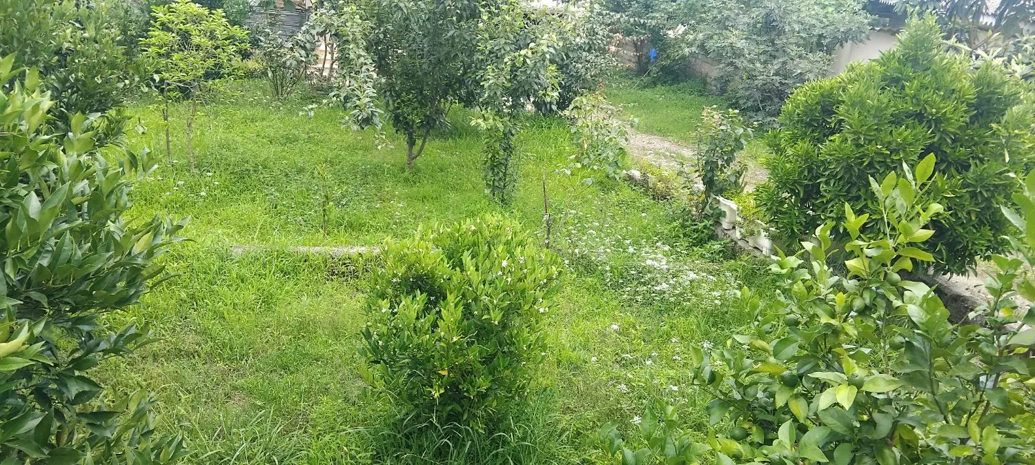 فروش ویلای شخصی ساز سیاهبیل