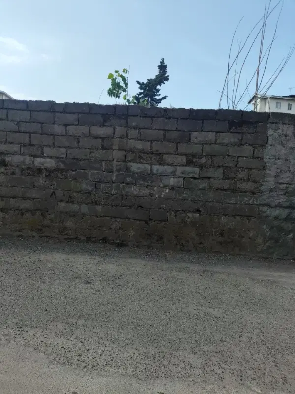زمین بر چهارم پاسداران
