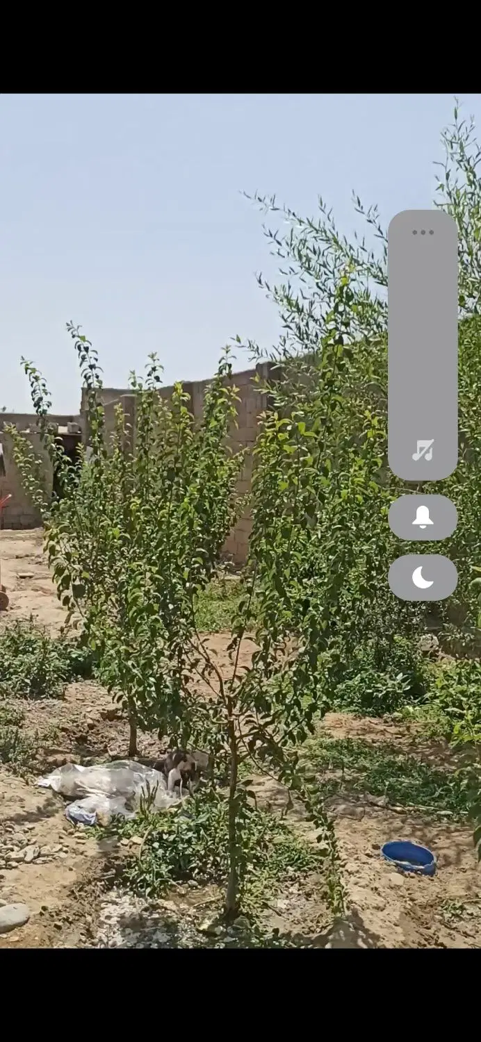 فروش باغ ویلا شهریار وایین