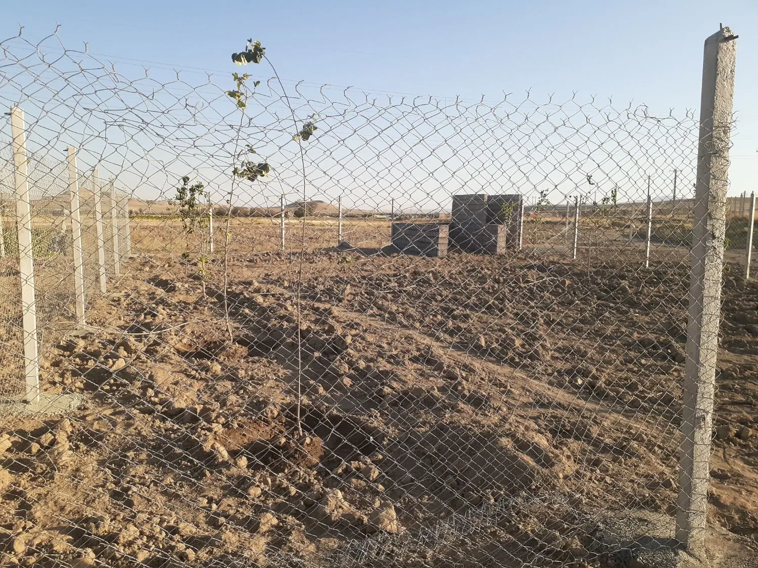 زمین باغی فنس دار شورین