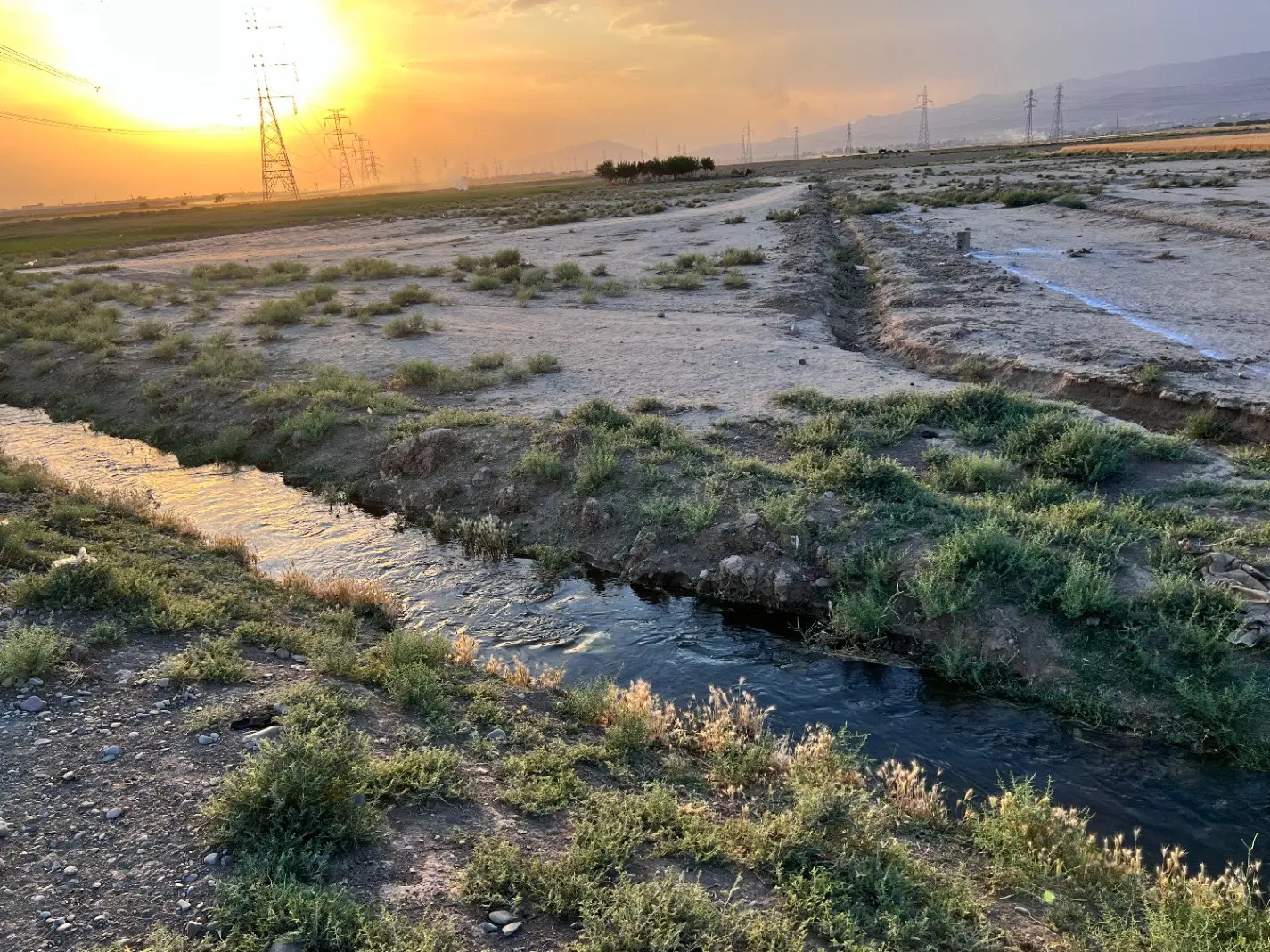 فروش ۴۸۰ متر زمین قوهه خیابان کربلا جنب کانال