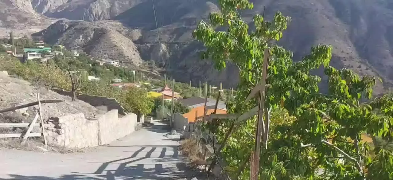 زمین باغی میوه صادراتی در بافت سند تک برگ
