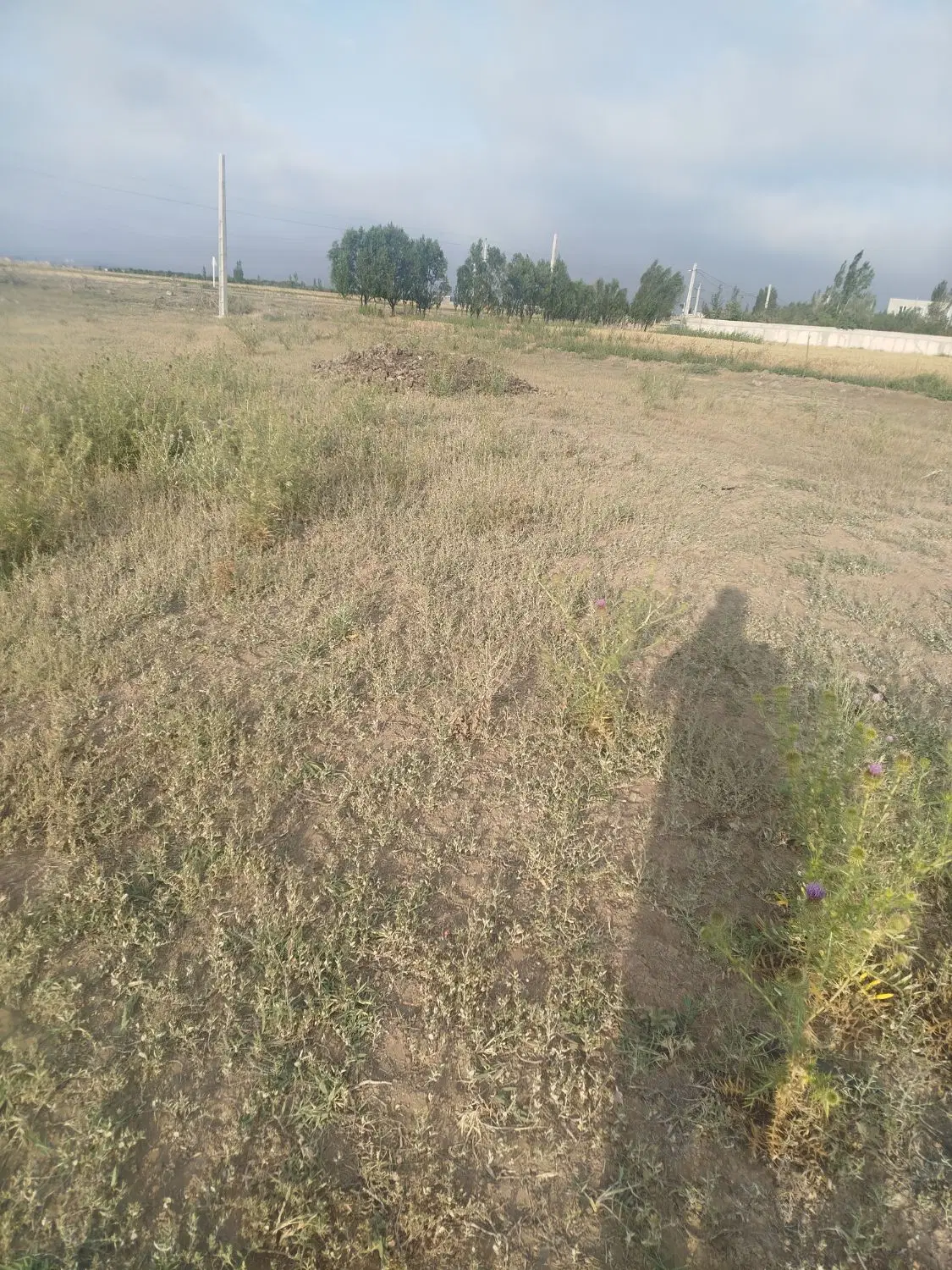 فروش زمین مسکونی