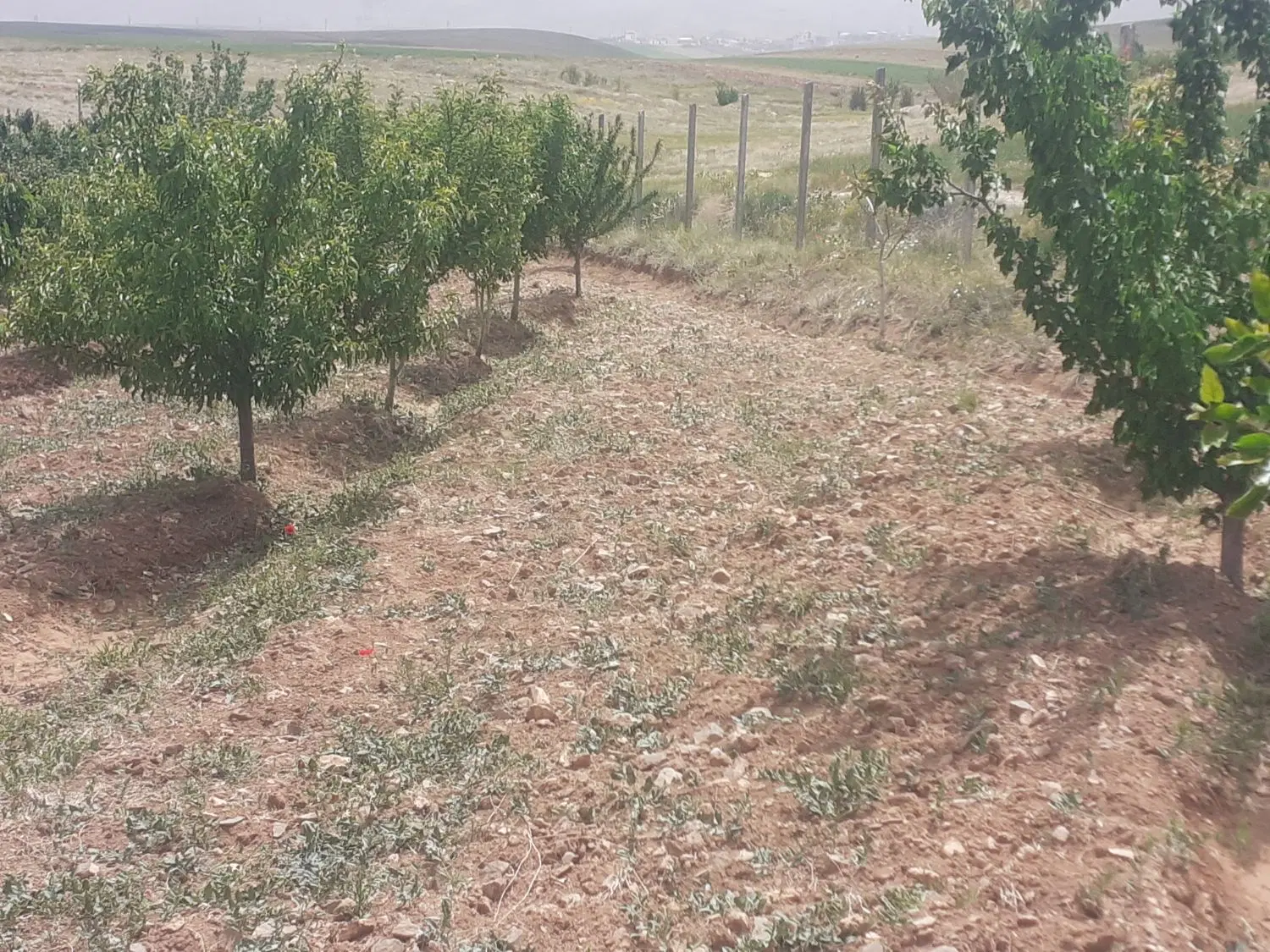 باغ زمین ویلایی با آب مادام‌العمر گوار عقیل آباد