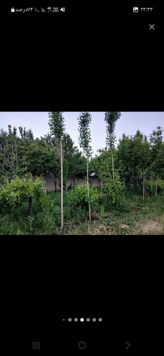 ملک ومنزل مسکونی ویلایی