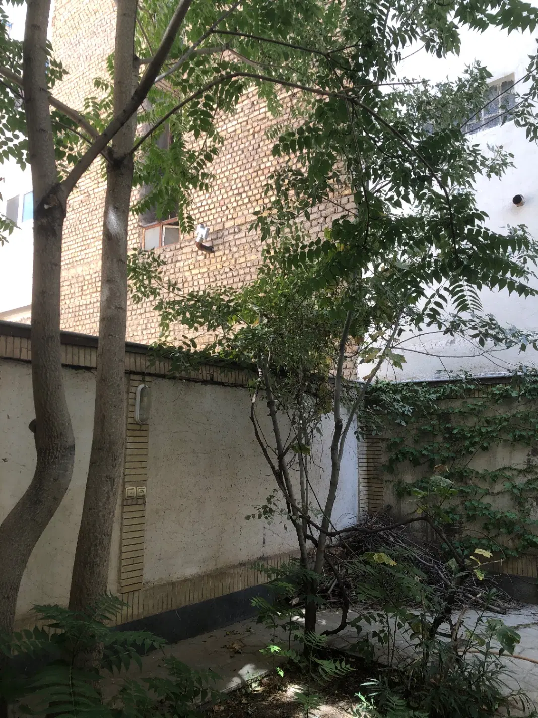 ۳۷۵ متر_ صیاد ۵۹_مشارکت_۱۶۰۰ متر پروانه تسویه