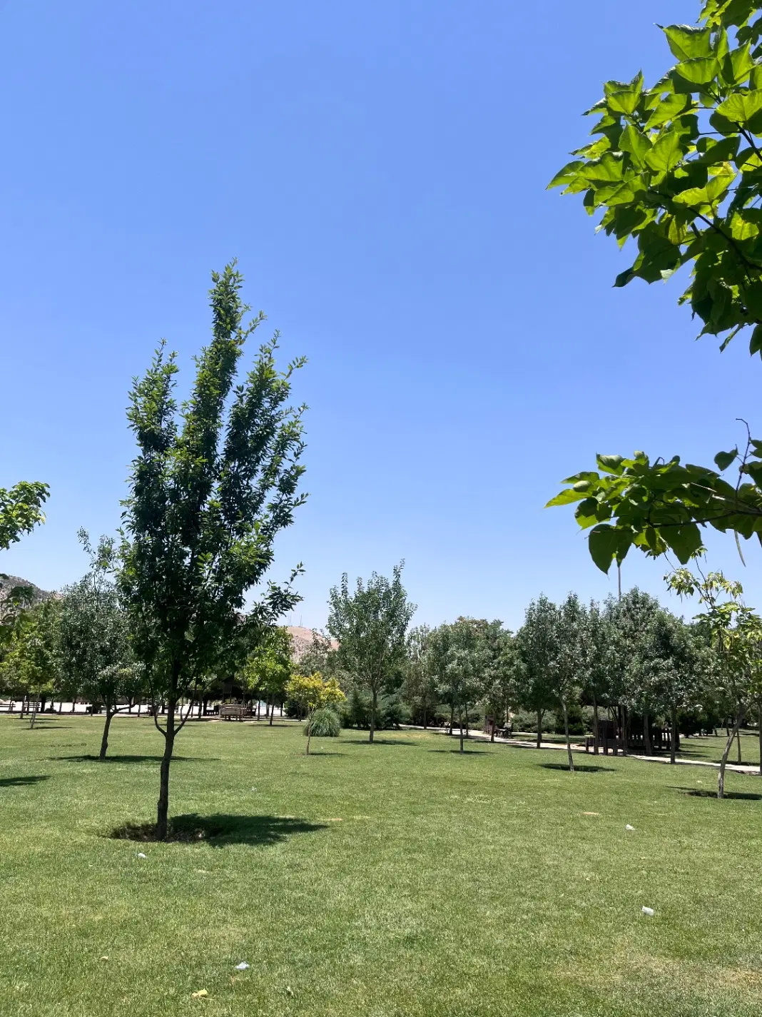 رهن واجاره زیرزمین بربلوار