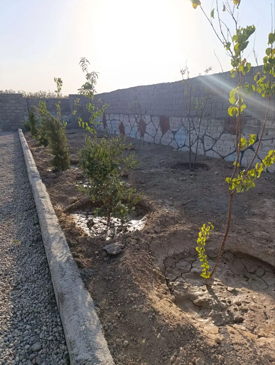 باغچه جمع و جور و خوش نقشه
