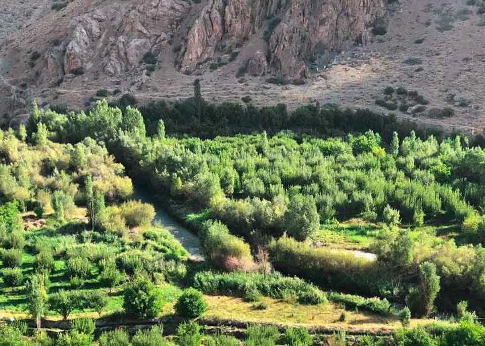 فروش زمین در هرانده فیروزکوه