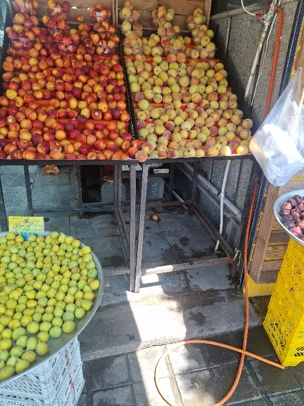 اجاره غرفه سبزی