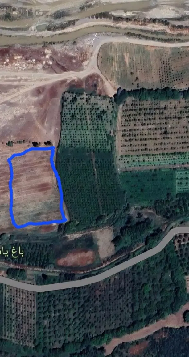 زمین زراعی روستای آزادگان