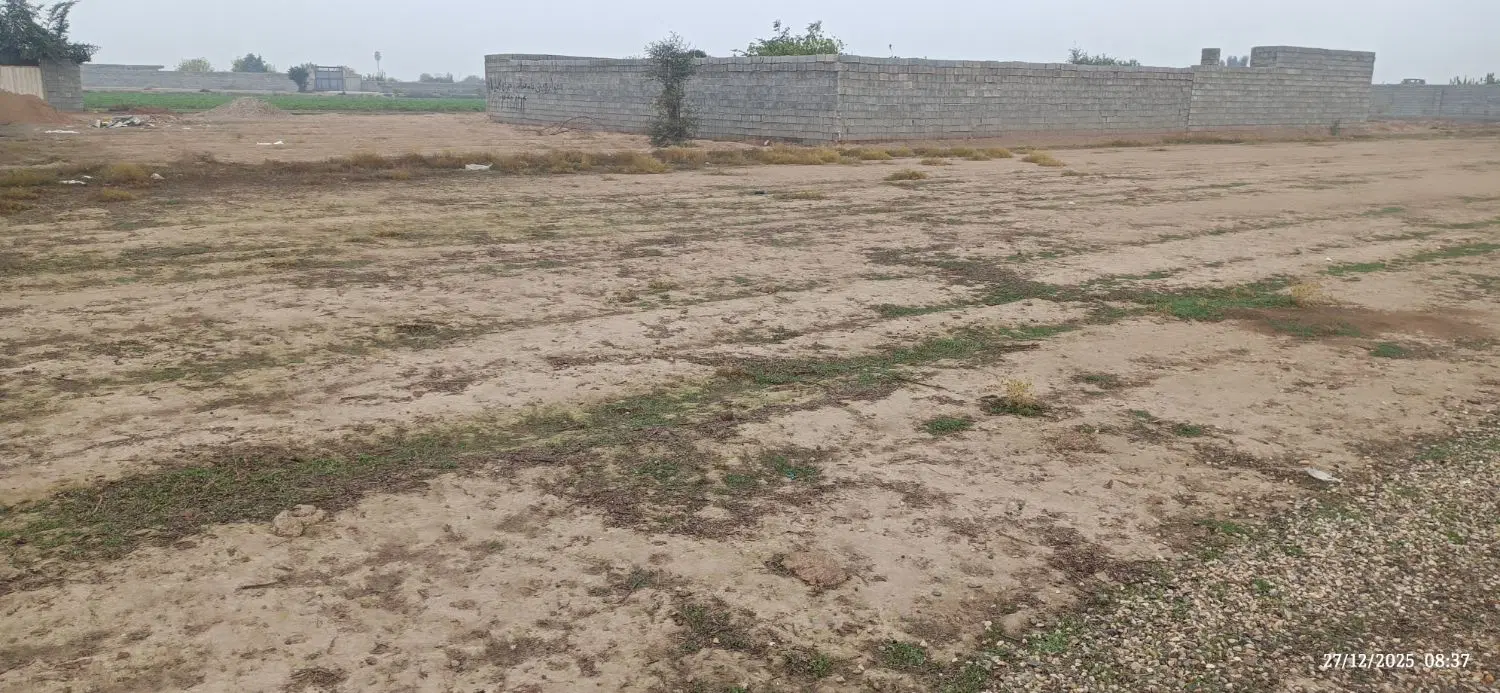 زمین باغی