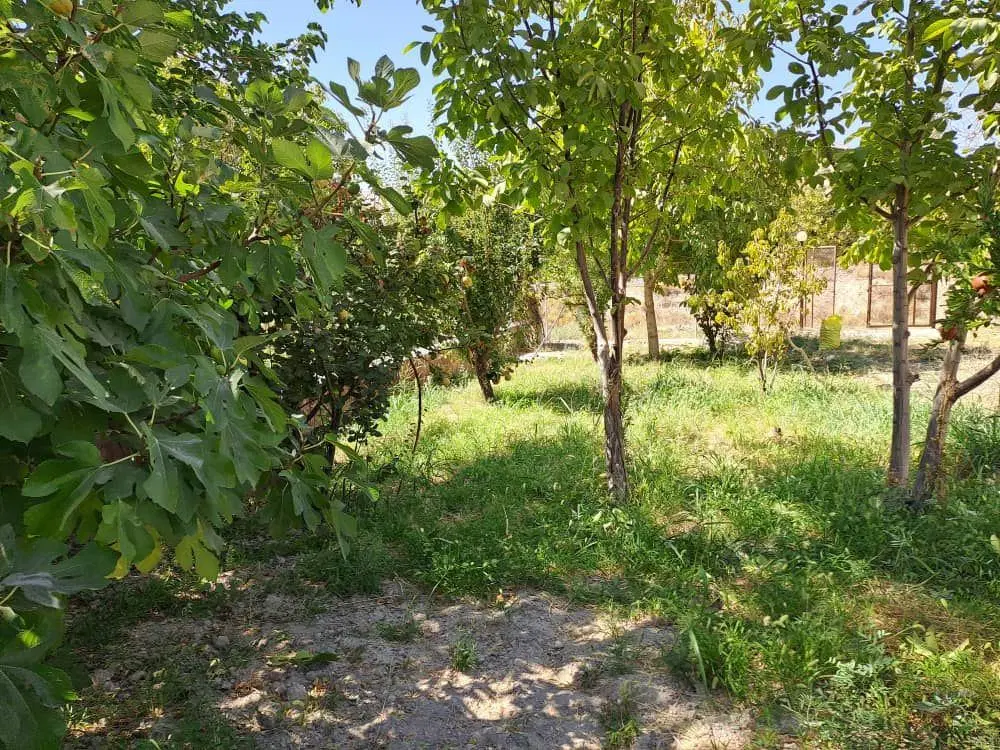 فر.ش زمین در زرین دشت