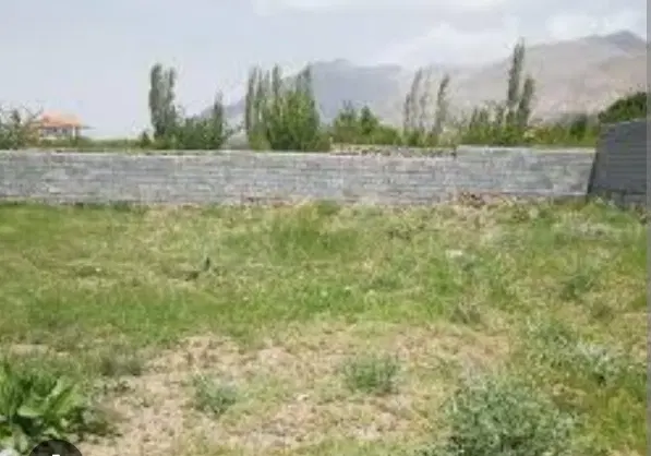 زمین طرح هادی