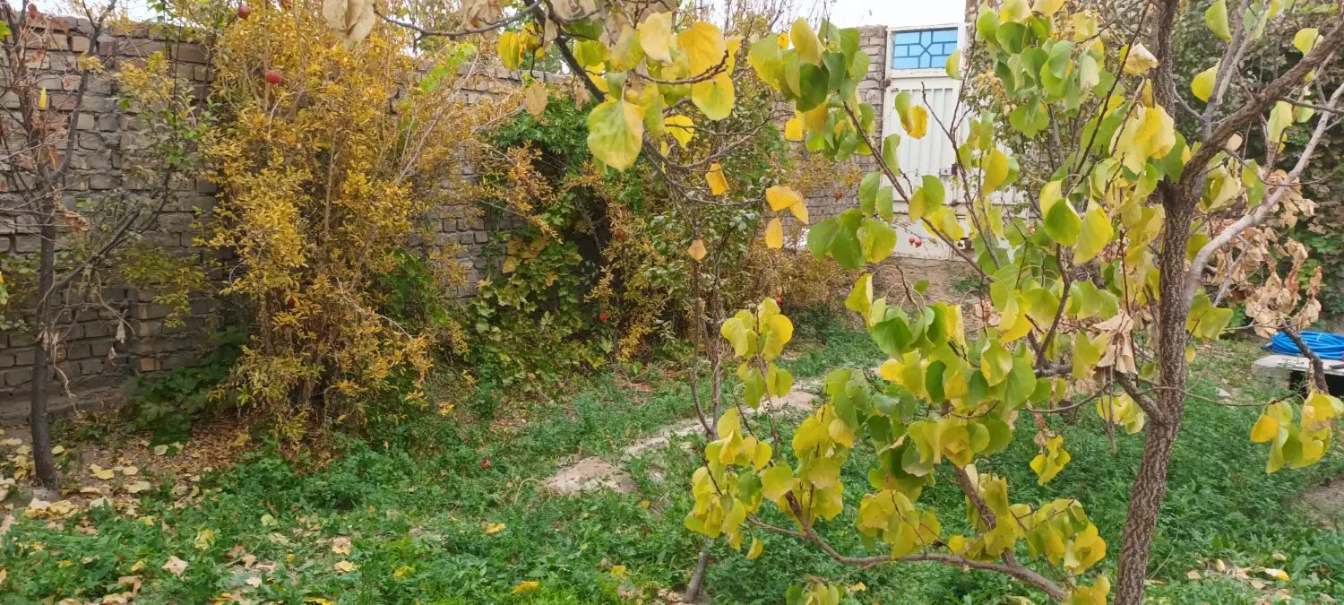 اجاره مغازه بزرگ بلوار امام رضا