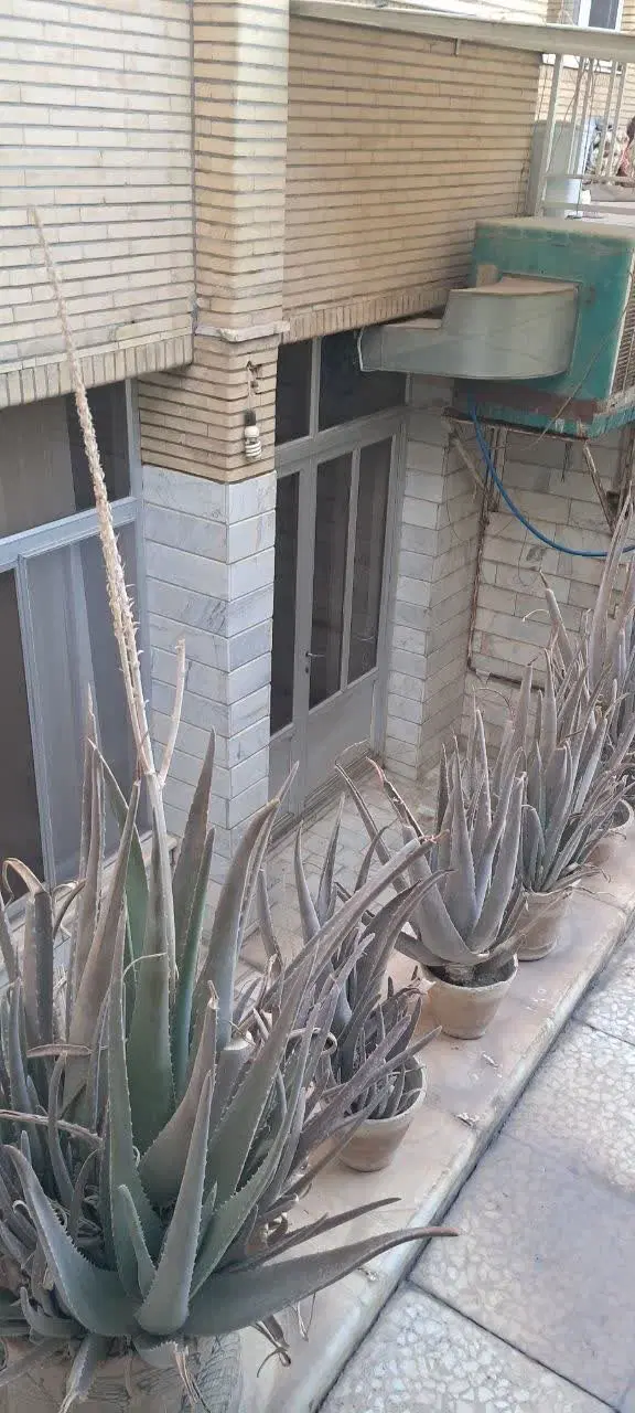 خانه مبله و غیر مبله زیرزمین