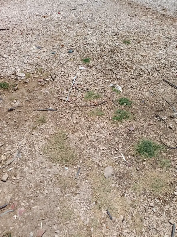 فروش زمین مسکونی هماشهر