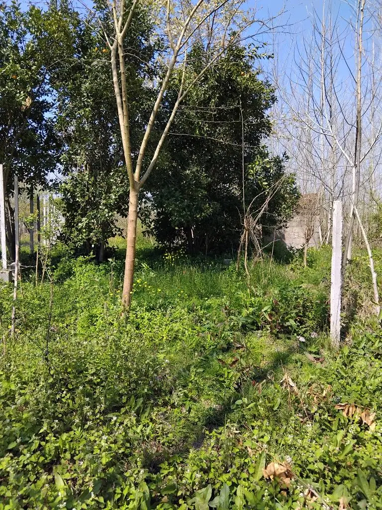 فروش زمین ۱۴۰ متری
