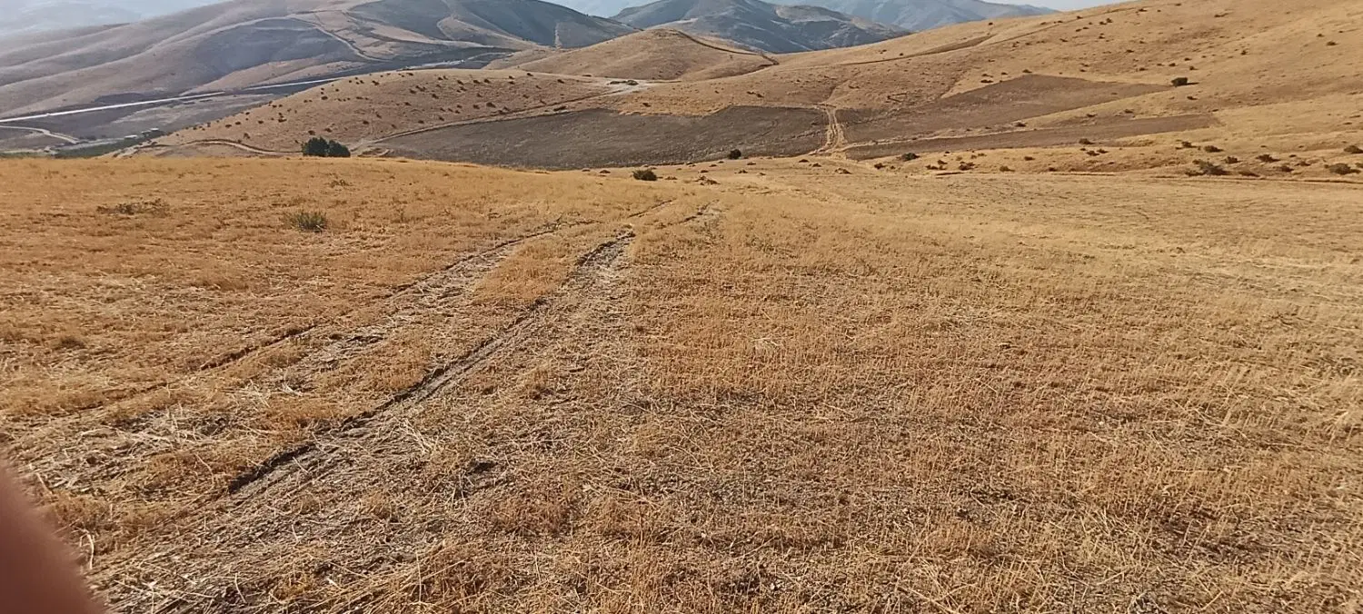 زمین برای انگور. گندم. نخود.