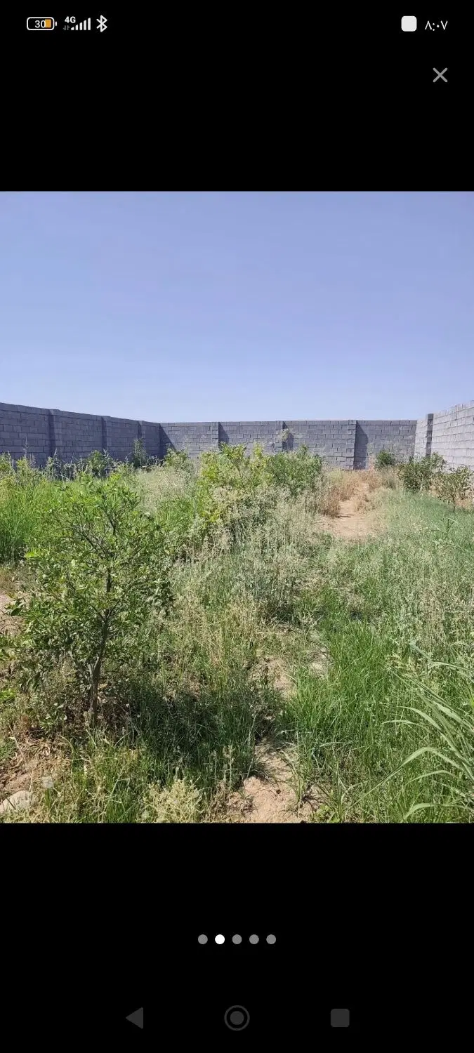 زمین باغ 500متری چمگلک