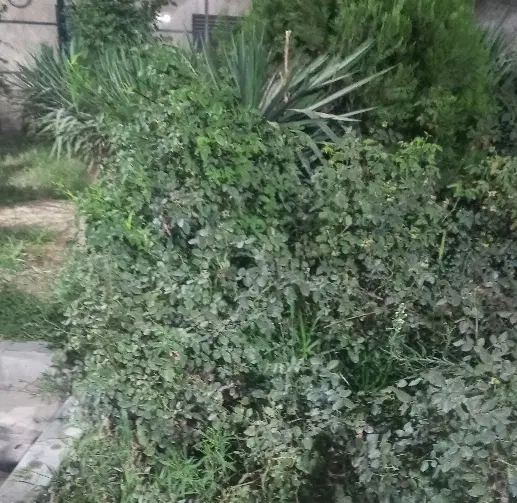 فروش زمین ۴۰۰ متری در دماوند شهر زیبای کیلان