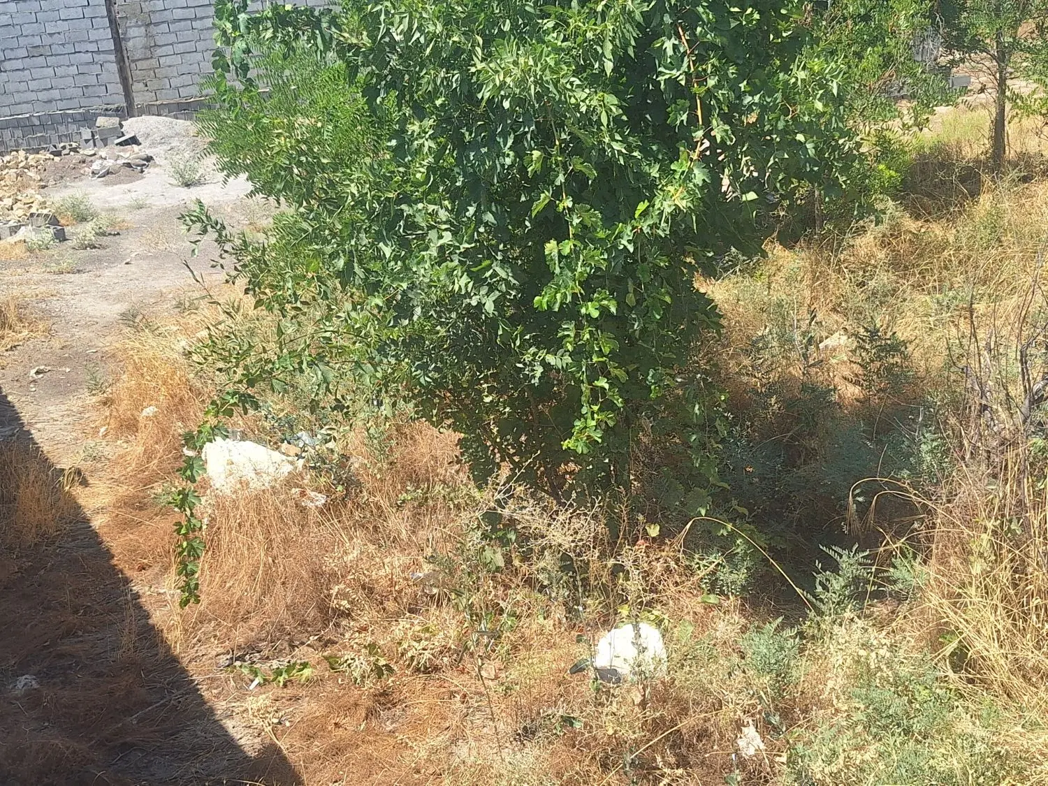 زمین دوردیوار حاشیه جاده اصلی  شاهنامه ۷۶